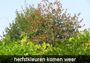 sept 065