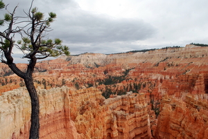 bryce Canyon.