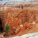 Bryce Canyon .