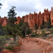 Bryce Canyon .