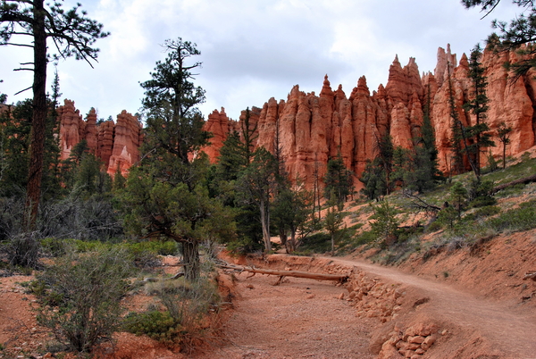 Bryce Canyon .