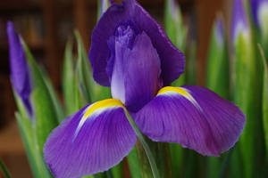 IMGP2767