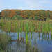 2008-10-12-15.30.25IMGP2202.JPG