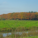 2008-10-18-12.38.34IMGP2283.JPG