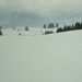 IMG_1949