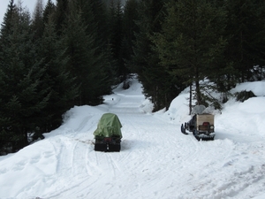 Gibler Alm, 1208m