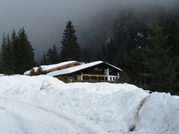 Gibler Alm, 1208m