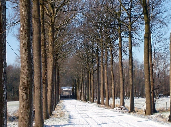 winterbeelden rondom Eeklo