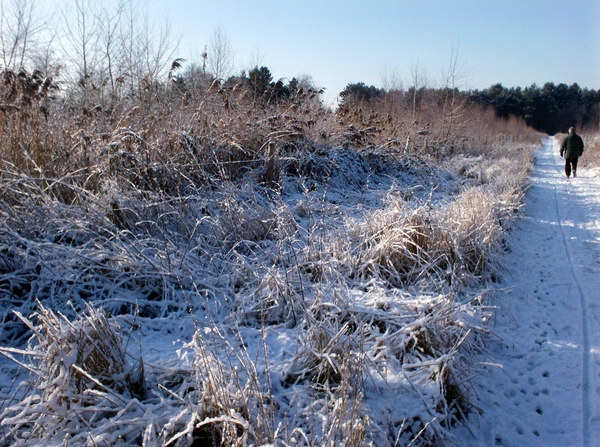 winterbeelden rondom Eeklo