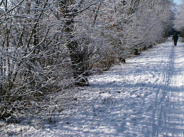 winterbeelden rondom Eeklo