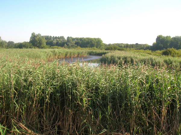 Buiten Kant Molsbroek