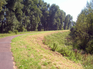 Fietspad langs de Durme