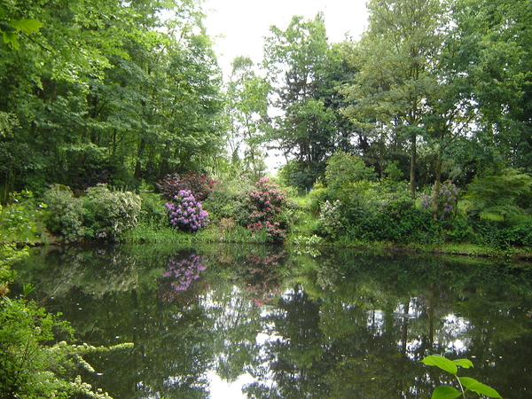 DSC00188