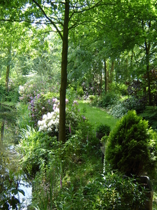DSC00190