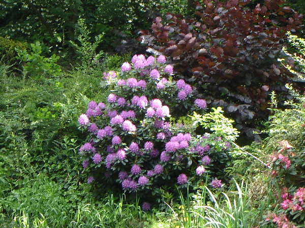 DSC00193