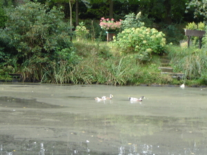 DSC00265