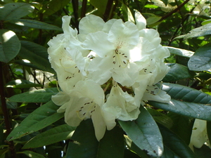 DSC00435