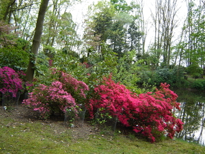 DSC00372