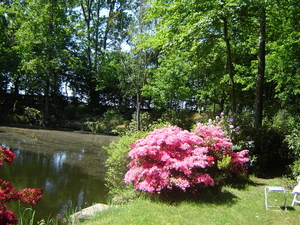 DSC00414