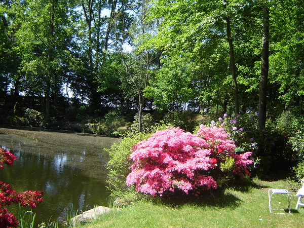 DSC00414