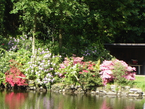 DSC00439
