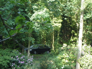 DSC00437