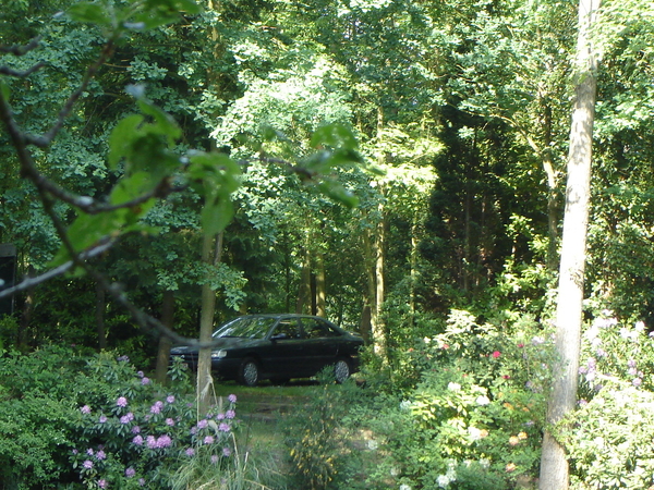 DSC00437
