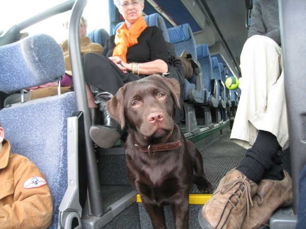 Hades vindt het ook prima