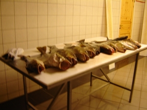 Kabelkauw