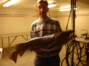 11kg500