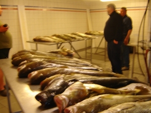 Fileertafels