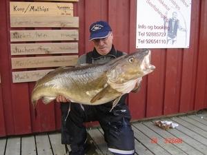 Lorenzo met Kabeljauw 18 kg