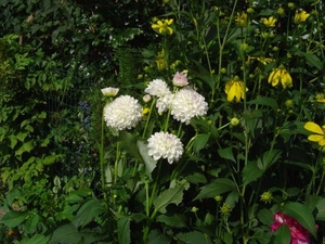 augustus 2008 008