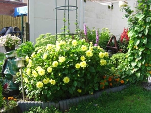 augustus 2008 012