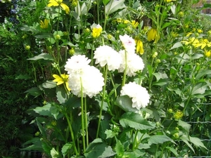 augustus 2008 039
