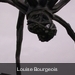 100_0110 Louise Bourgeois