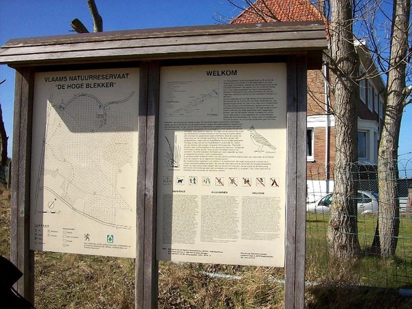 De hoge Blekker in Koksijde