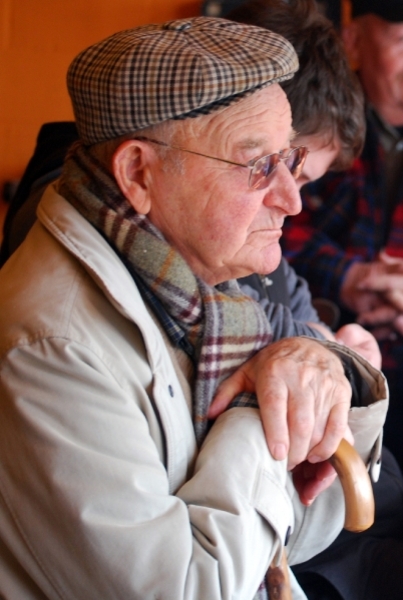 Hoe hoog zou het vlas al staan?