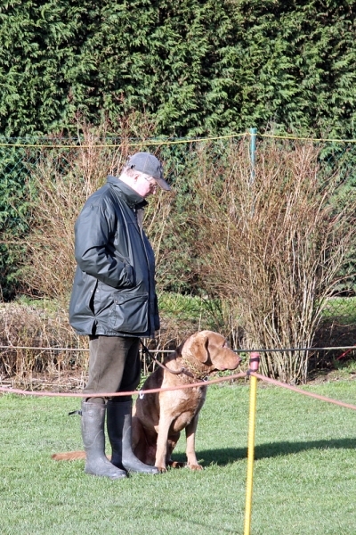 Didier met Cochise, chesapeake retriever