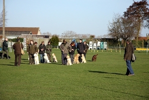 Twee rijen vormen