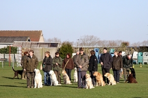 Hondjes mooi naast baasje wachten!