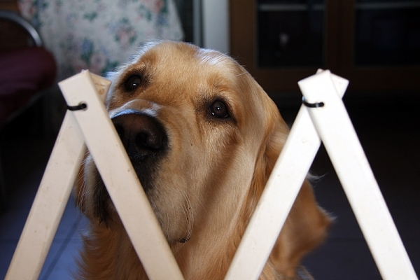 Moet ik hier nu echt blijven zitten?