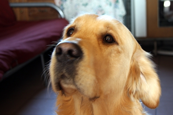 Hoe ben ik het mooist?