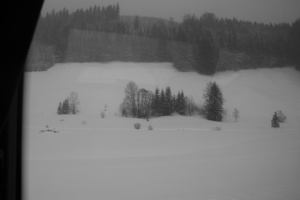 elbigenalp 136
