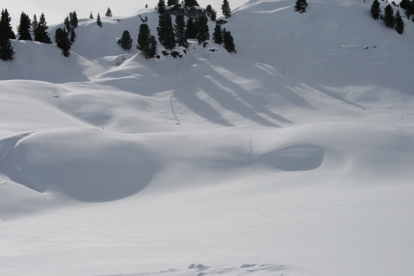 elbigenalp 030