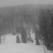 elbigenalp 133