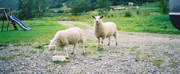 Hellesyt_hytte2_bezoekers _eten