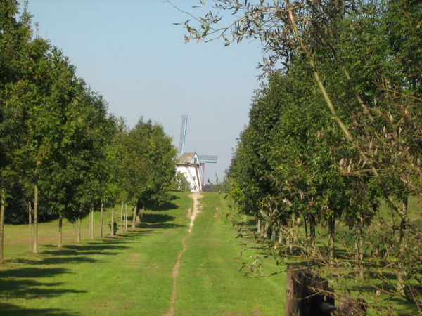 Dat heet dan gelukkig zijn !