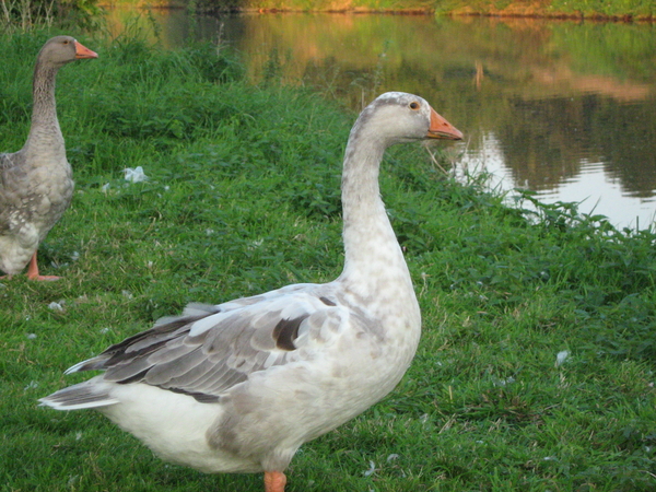 even een ander kleurtje