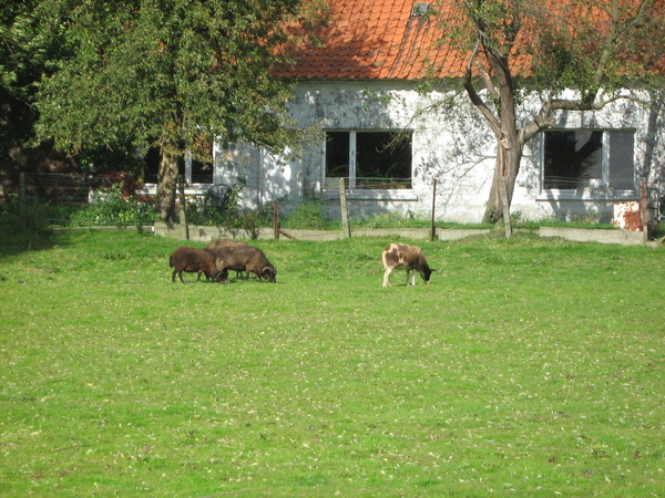 Mooi kiekje onder de baan